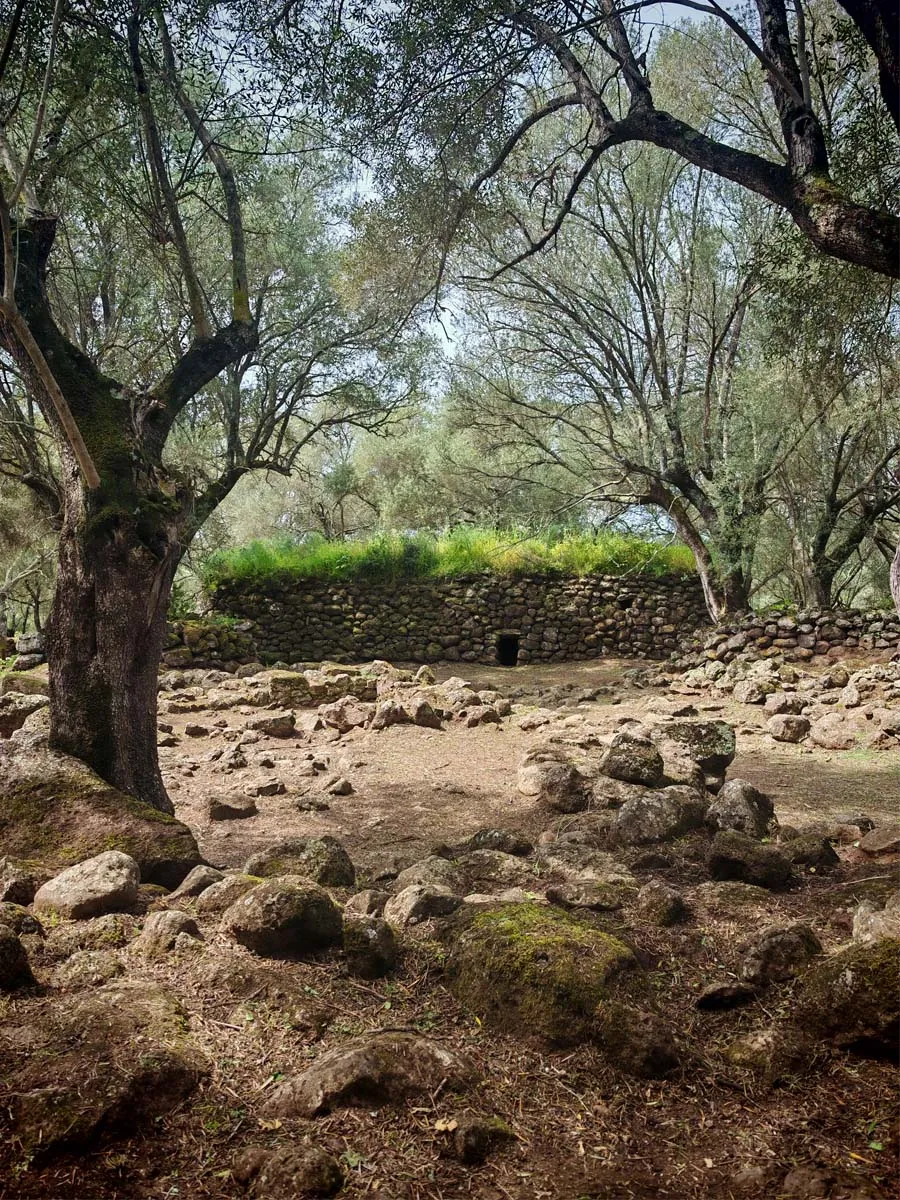Las cabañas alargadas