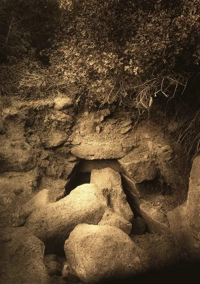 Historia de las excavaciones